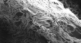 A spaghetti-like tangle of carbon nanotubes seen in this microscope image will no longer be an issue when processed with a solvent developed at Rice University. Image via Pasquali Research Group/Rice University.