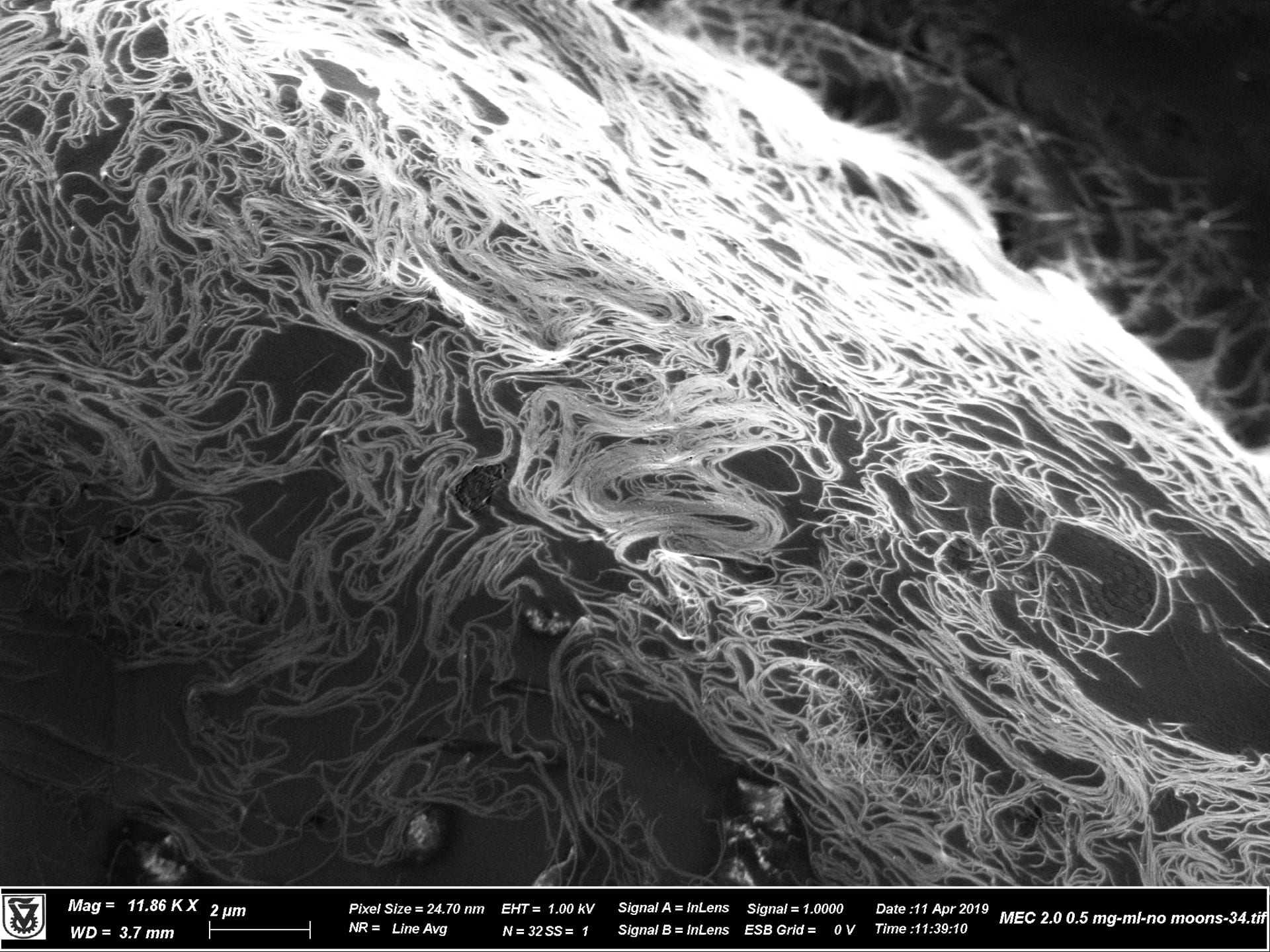 A spaghetti-like tangle of carbon nanotubes seen in this microscope image will no longer be an issue when processed with a solvent developed at Rice University. Image via Pasquali Research Group/Rice University.