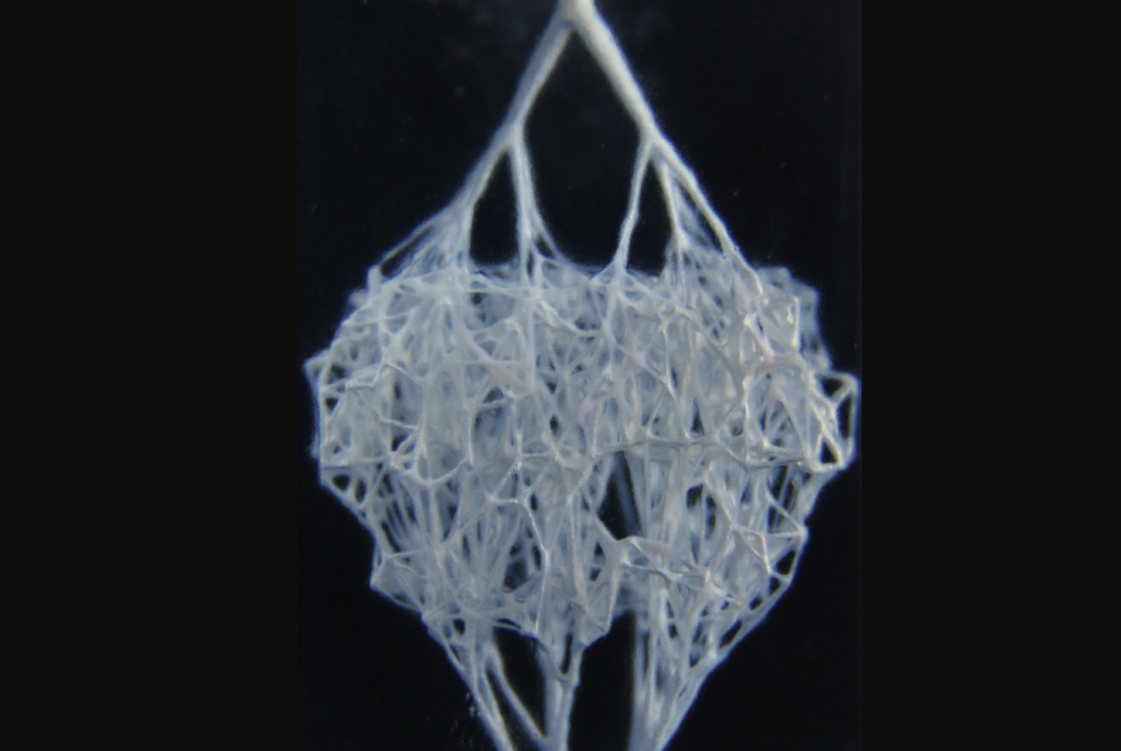 A liquid capillary network 3D printed in a solid matrix. Photo via CU Boulder.