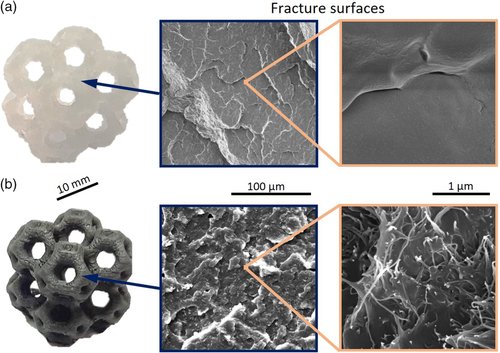 Additively manufactured cellular structures with 30% relative density. Image via Advanced Engineering Materials.