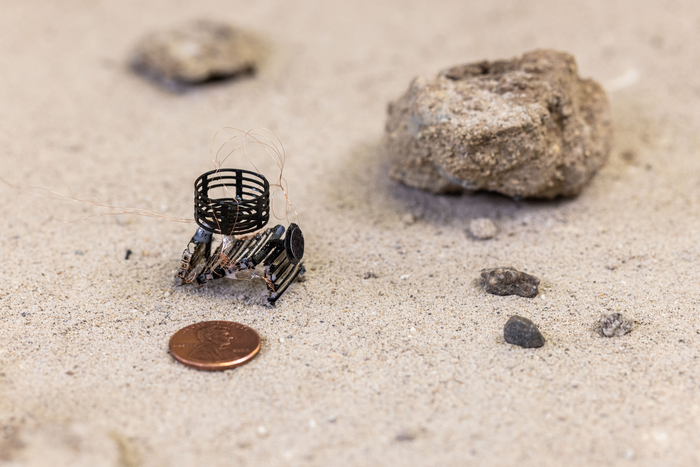 A 3D printed meta-bot capable of moving, sensing, and making decisions all on its own. Photo via UCLA.
