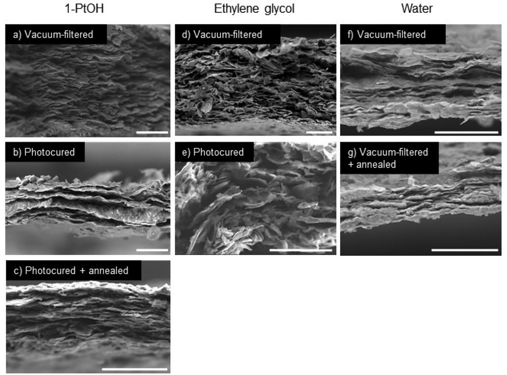 SEM imaging of various graphene oxide sheets. Image via Concordia University.