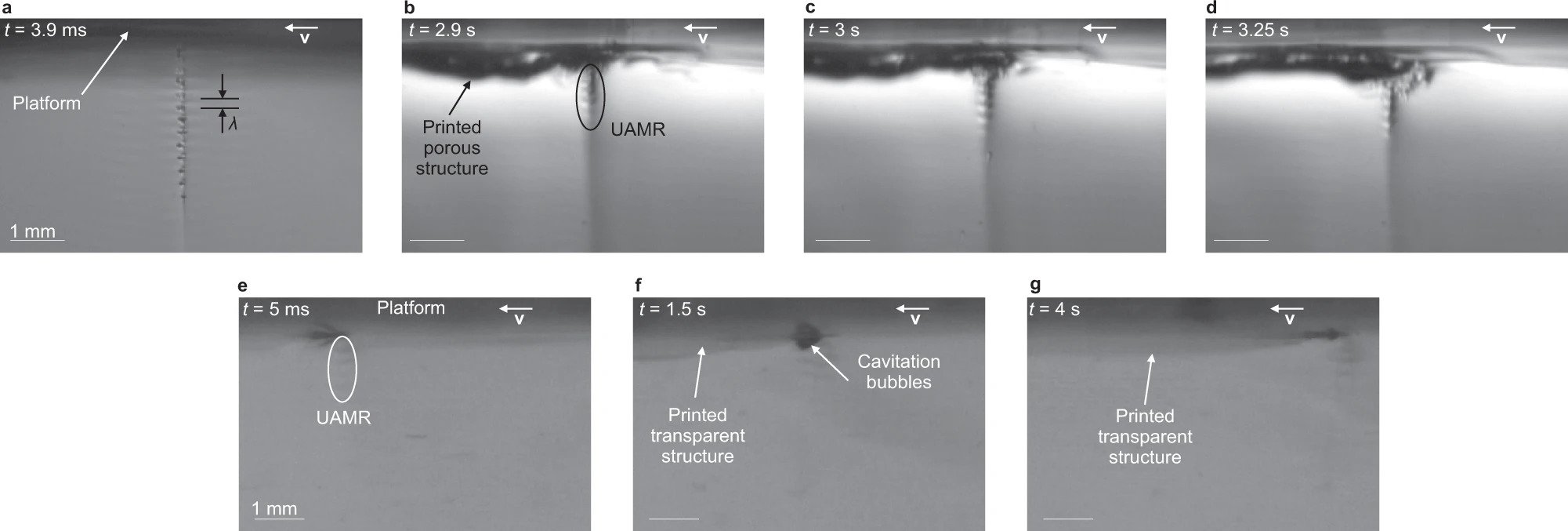 Porous and transparent printing observation of within the ultra-active micro reactor (UAMR) on the platform. Image via Nature Communications.