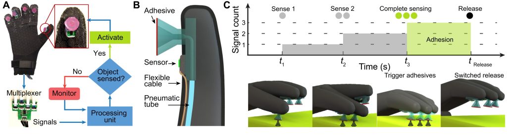 The adhesion mechanism of the 3D printing-enabled sucker gloves. Image via Virginia Tech.