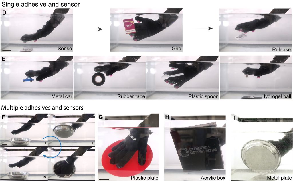 The gloves are compatible with a wide variety of underwater surfaces.  Image via Virginia Tech.