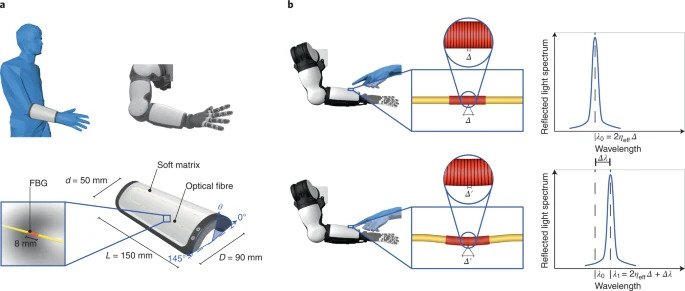 The 3D printed artificial skin. Image via Nature Machine Intelligence.
