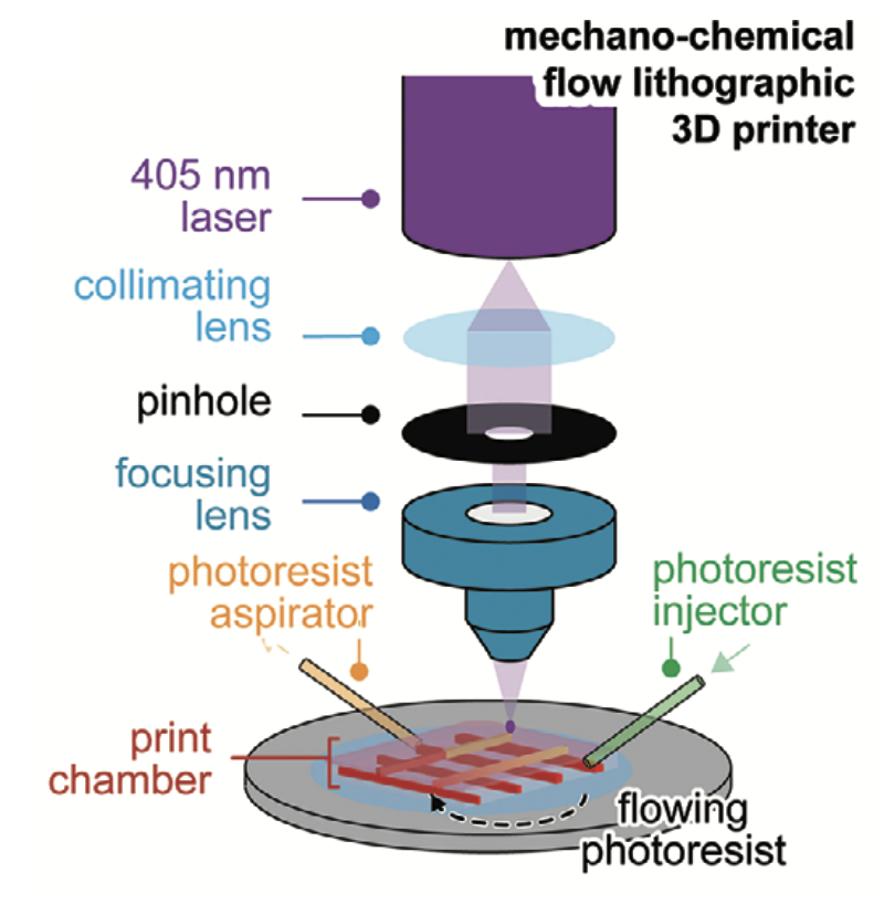Diagram of the 3D printing process. Image via Advanced Science.