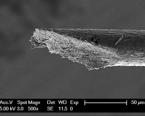 The size of a human hair under a microscope (100 µm). Image via In-Vision