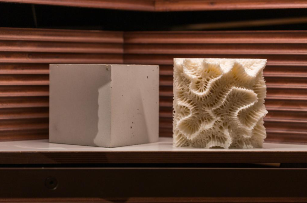 3D printed corals. Image via KAUST.