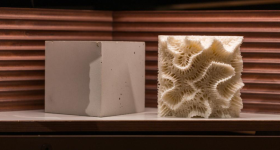 3D printed corals. Image via KAUST.