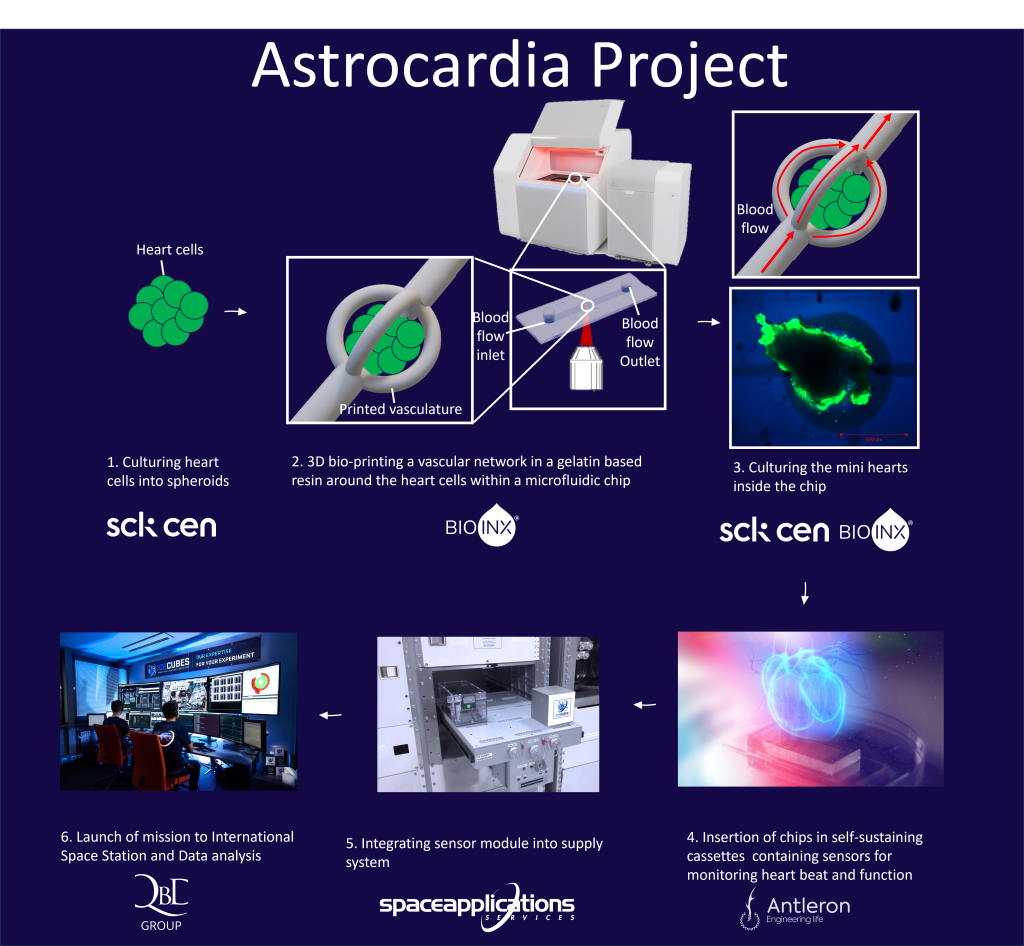 The AstroCardia project. Image via AstroCardia.