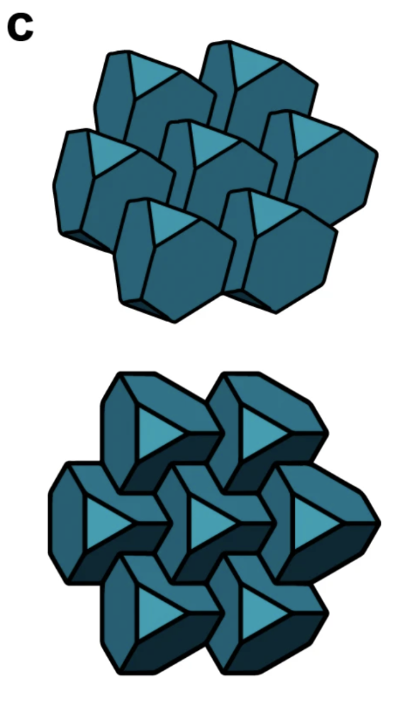 Model of self-assembled structure (isometric and top view) in the hexagonal phase. Image via Nature Communications