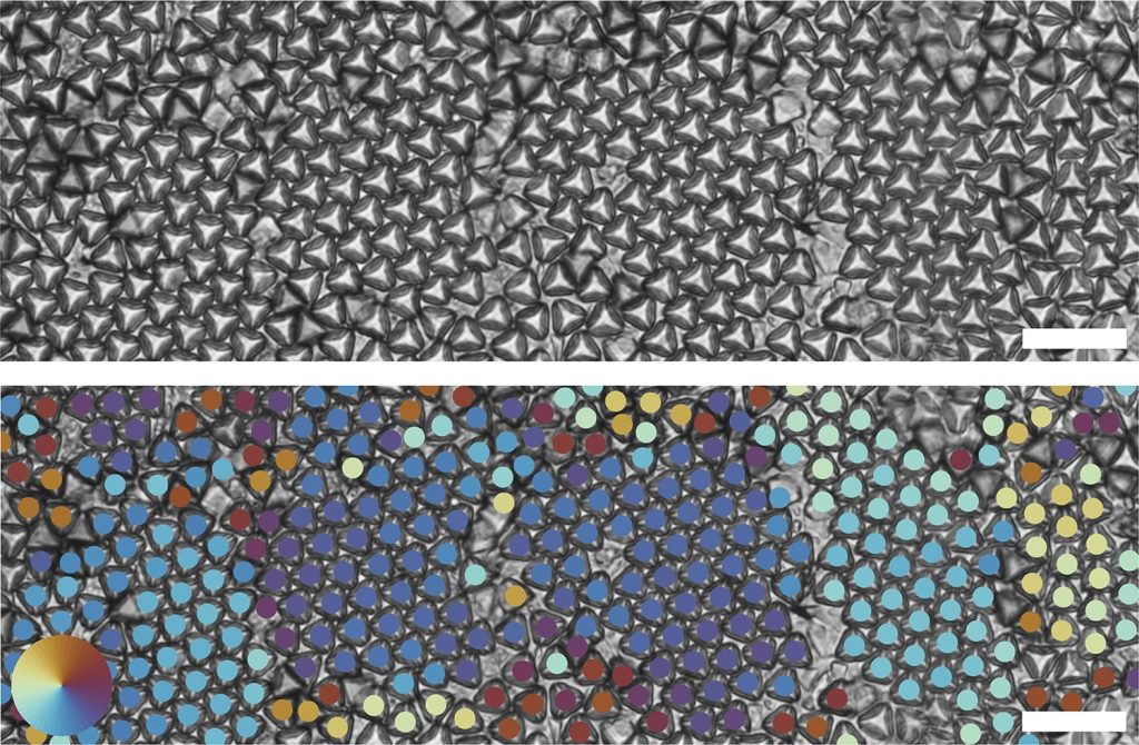 Optical images of truncated tetrahedrons forming multiple hexagonal grains (top). Bond order analysis shows different hexagonal grains through different colors (bottom). Image via David Doan & John Kulikowski.