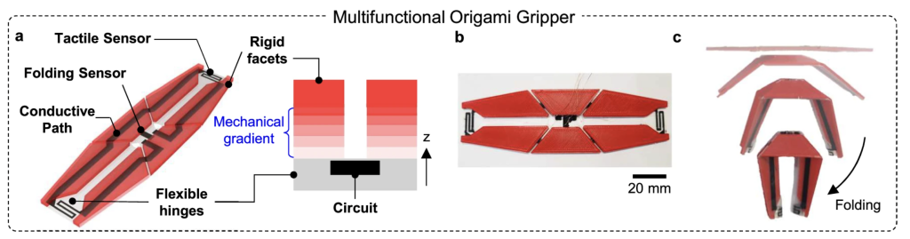 Schematic illustration of the multimaterial, multifunctional origami gripper. Image via Nature.