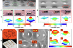 New study into 3D microelectrode technology could improve neural interfaces