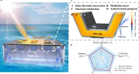 3D hierarchical floating setup for photothermal interfacial evaporation. Image via Nature Communications.