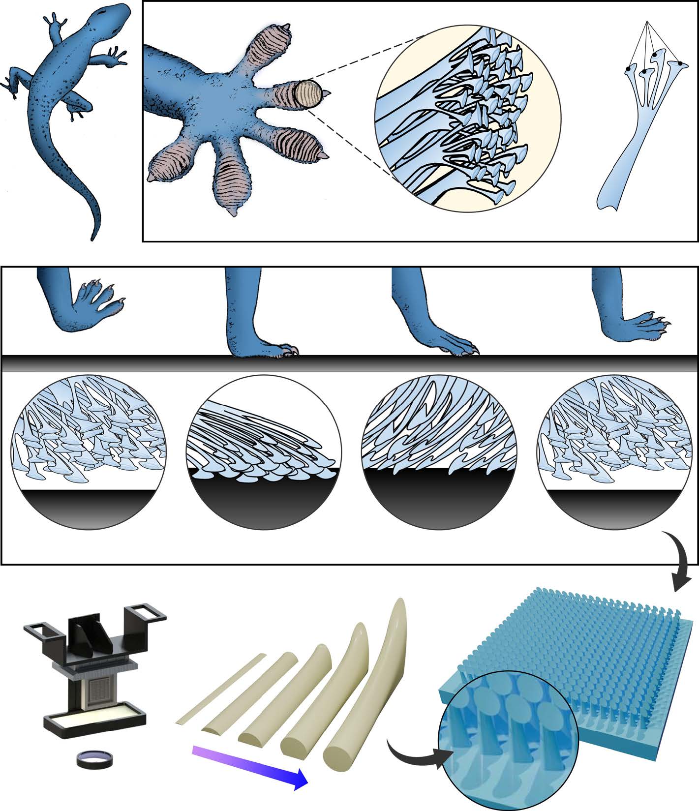 Harnessing Overcuring: Gecko-Inspired Soft Grippers Push the Boundaries of DLP 3D Printing