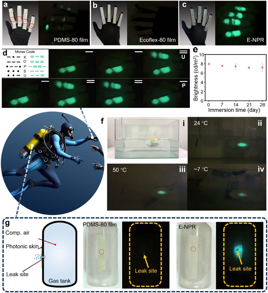 Photonic skin integrated into gloves for Morse code signaling and applied to robotic fish and gas tanks for underwater safety monitoring. Image via Sun et al., Advanced Materials