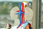 Ricoh launches Ricoh 3D for Healthcare, LLC to accelerate patient-specific device adoption