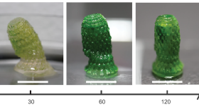 Continuous culture over 400 days. Photo via ETH Zurich.