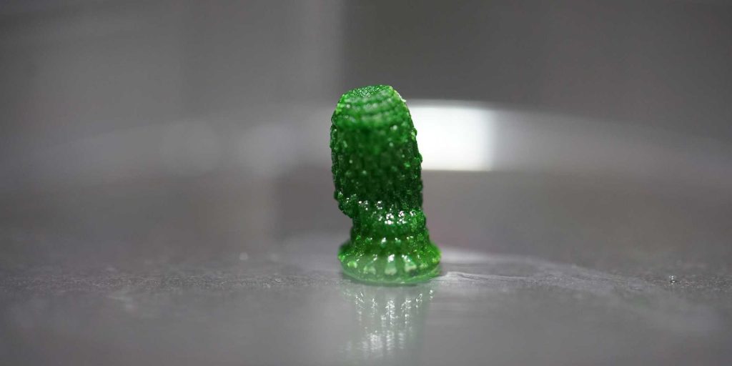3D printed "pineapple" with cyanobacteria growing inside after a development period of 60 days. Photo via ETH Zurich.