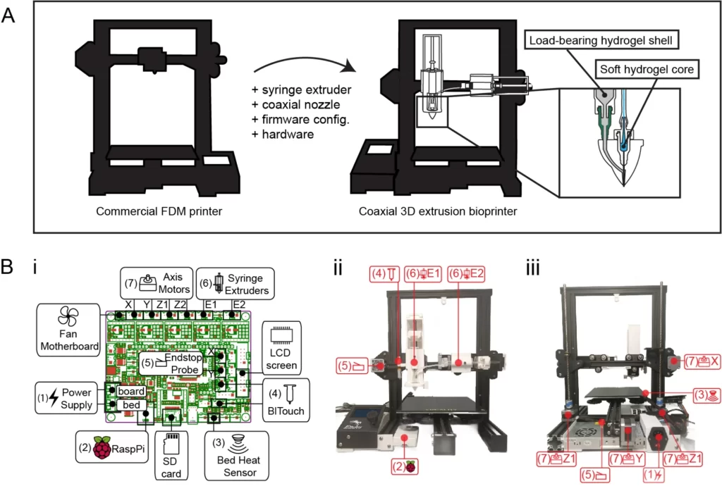 Schematic of 3D extrusion bioprinter and coaxial nozzle assembly. Image via Nature Communications.