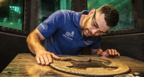 Misael Pimentel, project lead at NMIS. Photo via the National Manufacturing Institute Scotland.