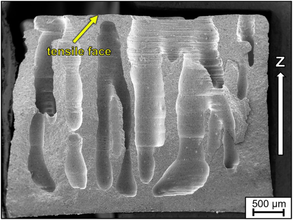 Pore creation due to insufficient slurry height in the vat in a bending specimen. The build direction z is marked by the white arrow. Image via ScienceDirect.