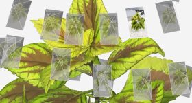 3D reconstruction visualization showing camera alignment and textured mesh generated from multiple images. Image via Artec 3D.