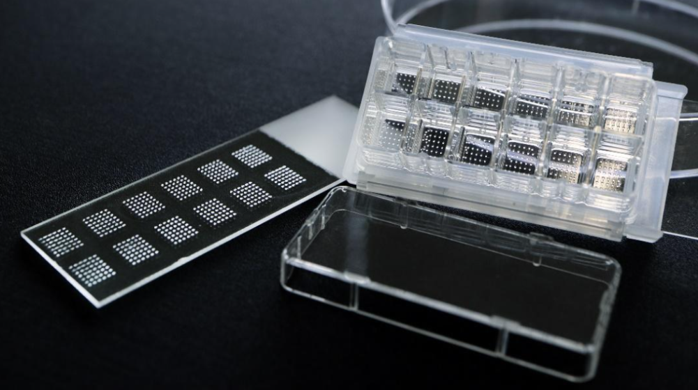 CARIMATEC’s latest introduced at Formnext 2025 for high-throughput cell printing