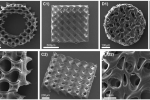 Researchers develop curcumin-based photoinitiator for multifunctional 3D printed GelMA scaffolds