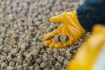 BASF starts up first production plant for 3D printed catalysts in Ludwigshafen
