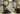 Post image 8