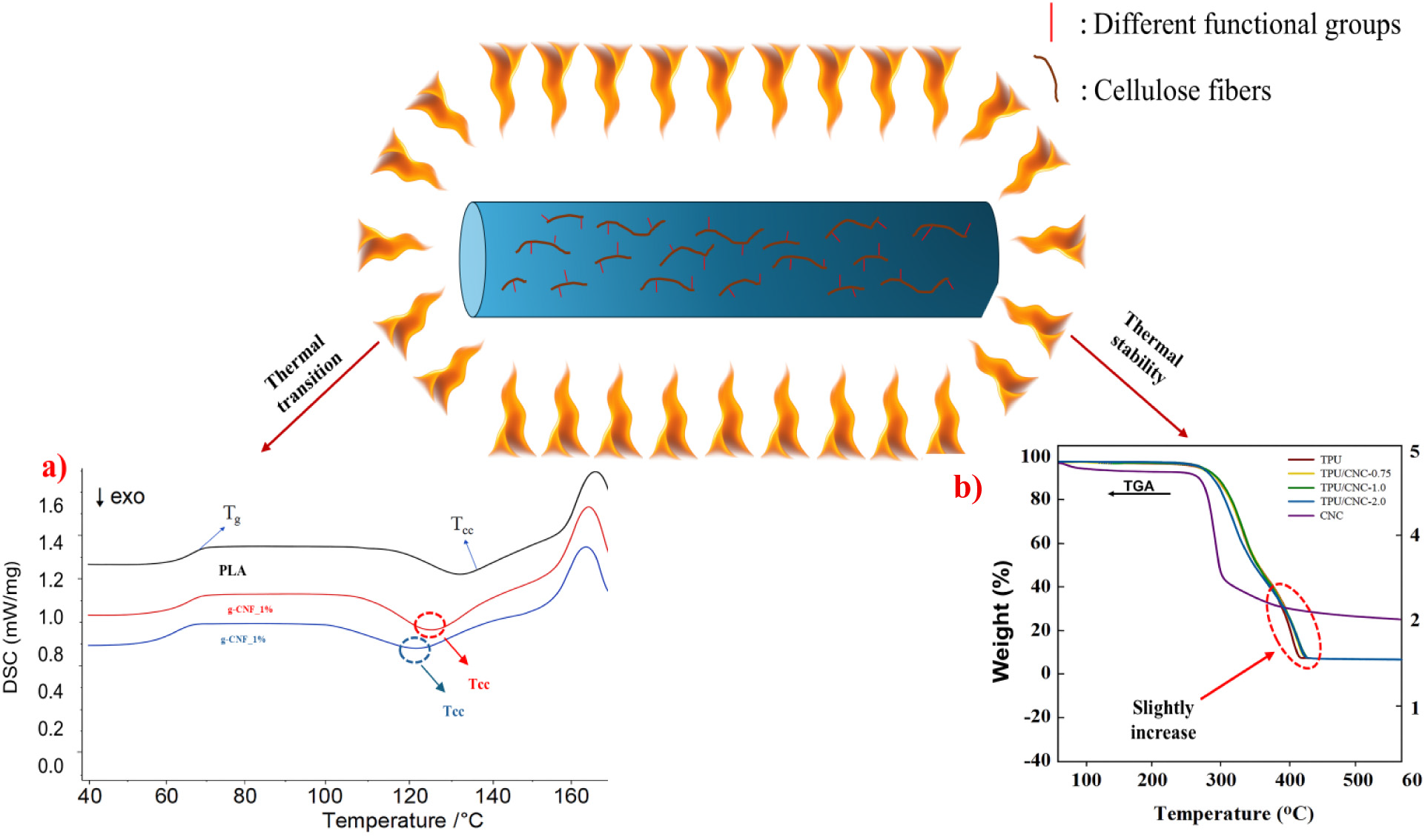 Cellulose modifications could support more sustainable FDM 3D printing filaments, review finds