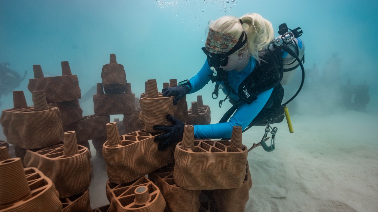 rrreefs Installs 13 3D Printed Clay Reef Structures at Anantara Dhigu Maldives Resort