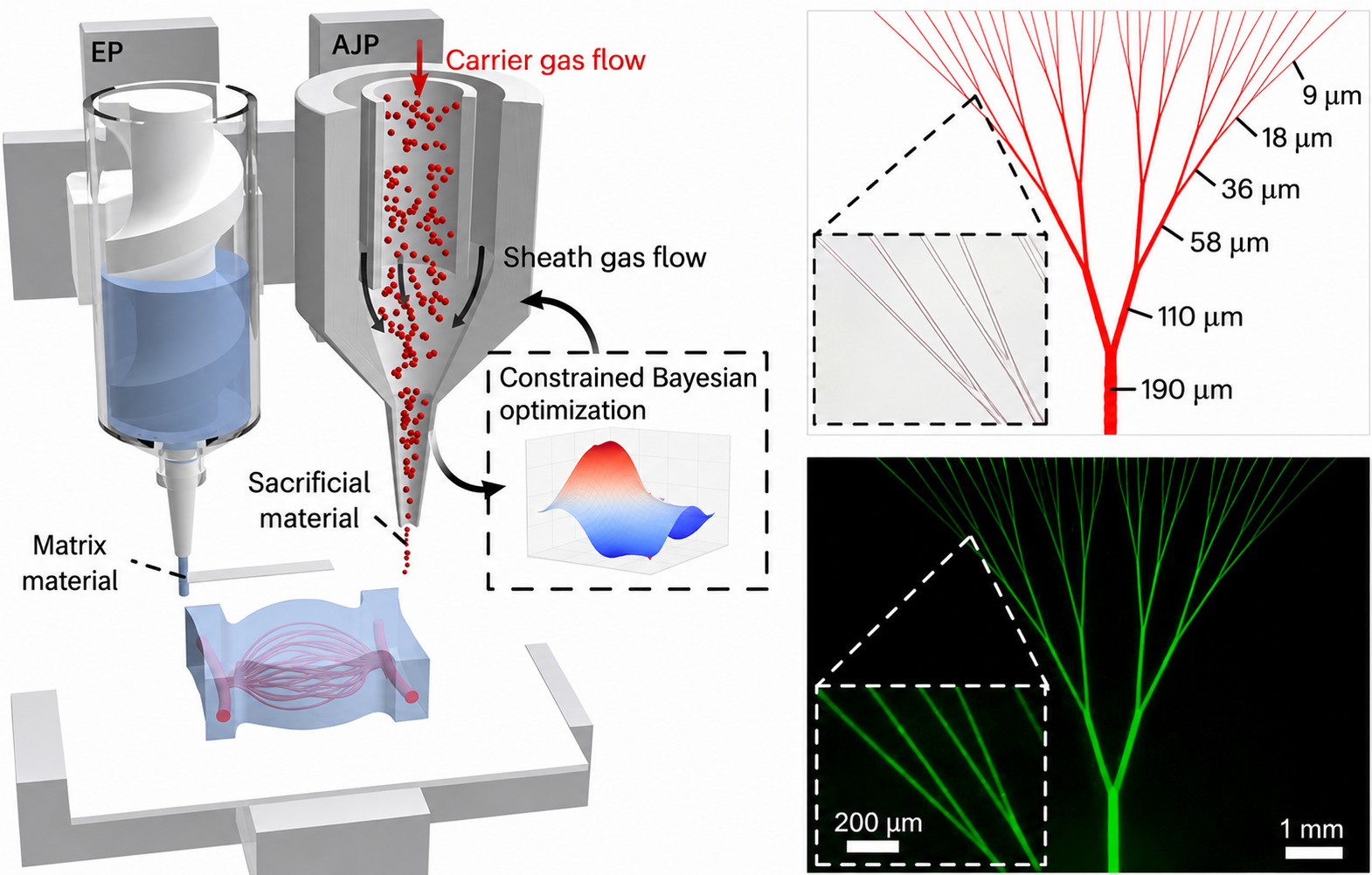 Hybrid 3D Bioprinting Achieves Capillary-Scale Vascular Networks