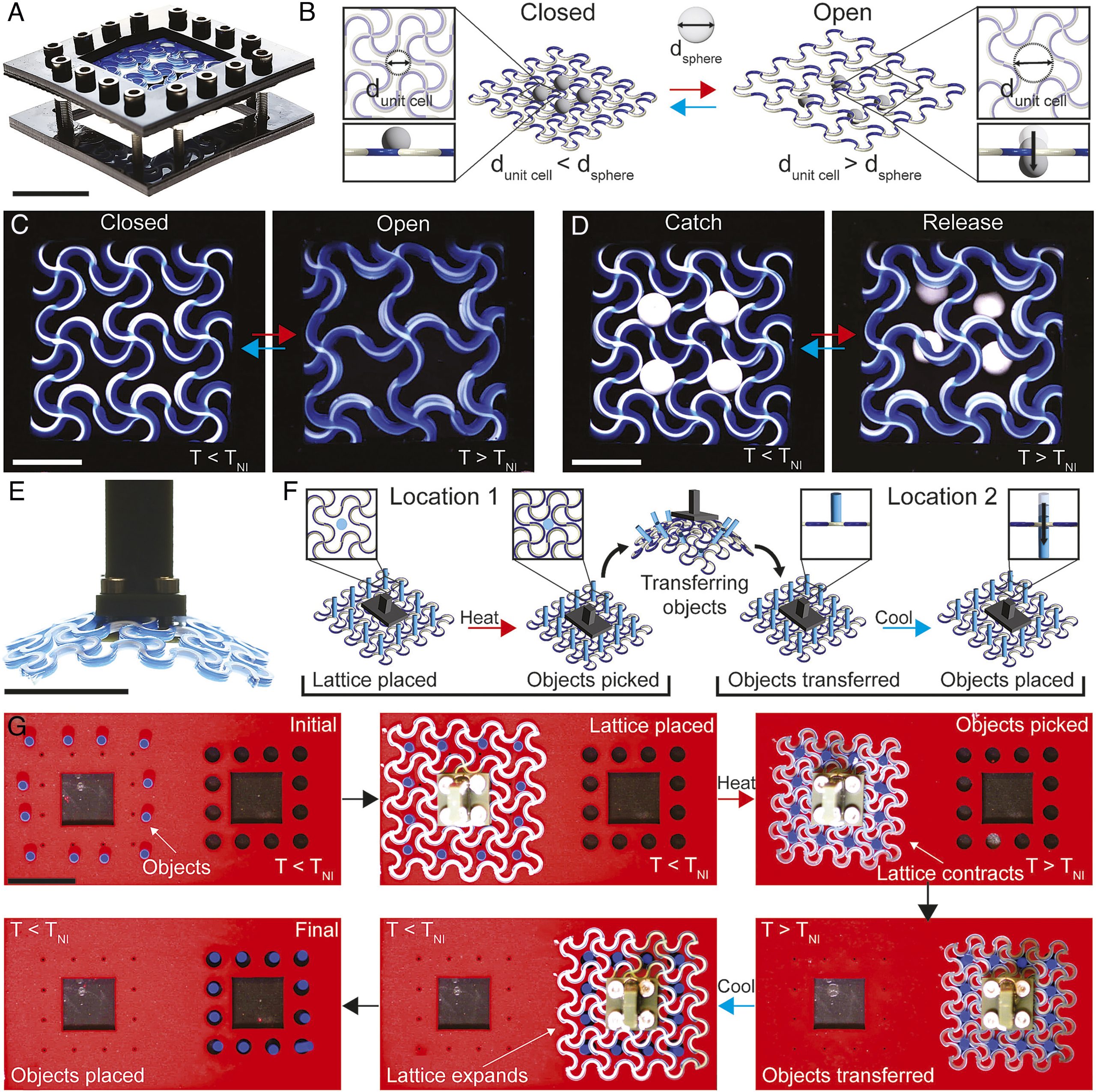 Harvard 3D Prints Filaments That Bend and Contract Like Biological Muscle - 3D Printing Industry