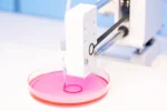 EU project grows living bone, fat and muscle with a new bioprinting method