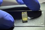 Auxilium Biotechnologies Bioprints Kidney and Liver Tissue on ISS