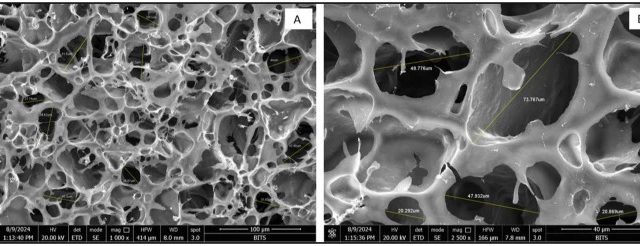 Lyophilized scaffolds image under FESEM: (A) at 1000x magnification, (B) at 2500x magnification. Image via Bankhede et. al, Journal of Biological Engineering.