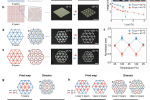 Pusan National University develops 3D printing method for switchable soft actuators