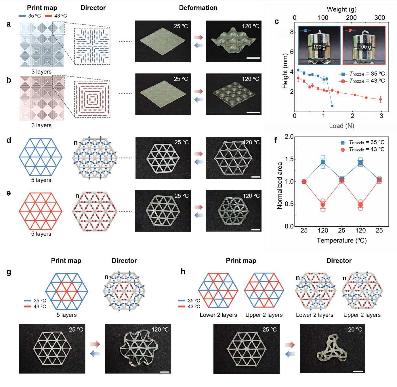 Pusan National University develops 3D printing method for switchable soft actuators