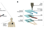 3D Printed Brain Cooling Implant Targets Drug-Resistant Epilepsy